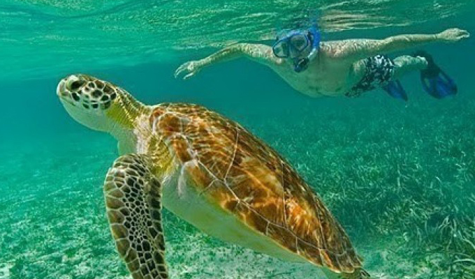 San Pedro Island Tours