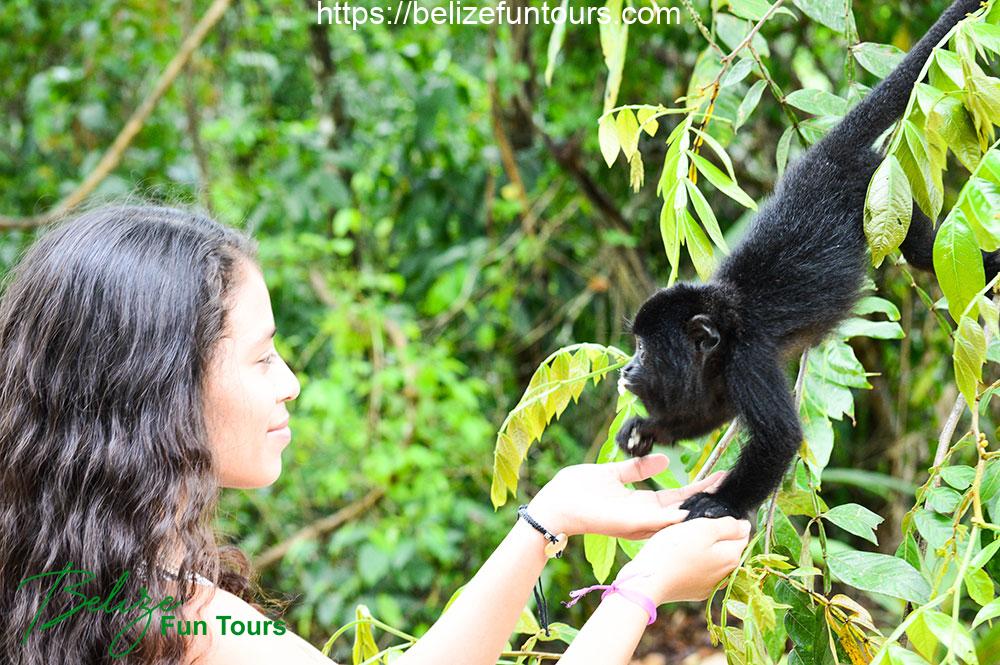 Community Baboon Sanctuary