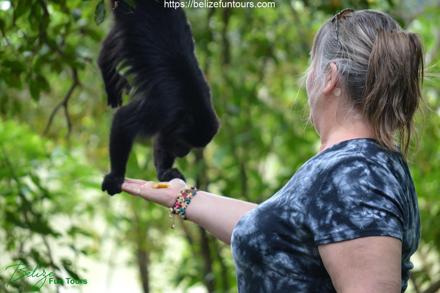 Community Baboon Sanctuary 3