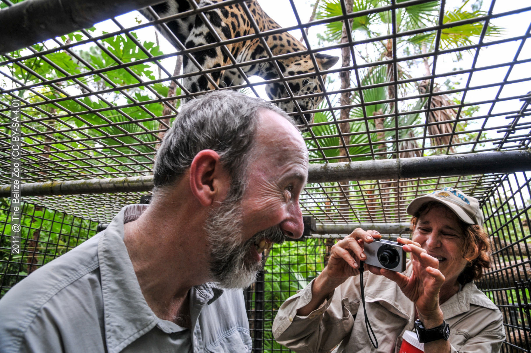 The Belize Zoo – Witness the Majesty of Belize's Wildlife! 5