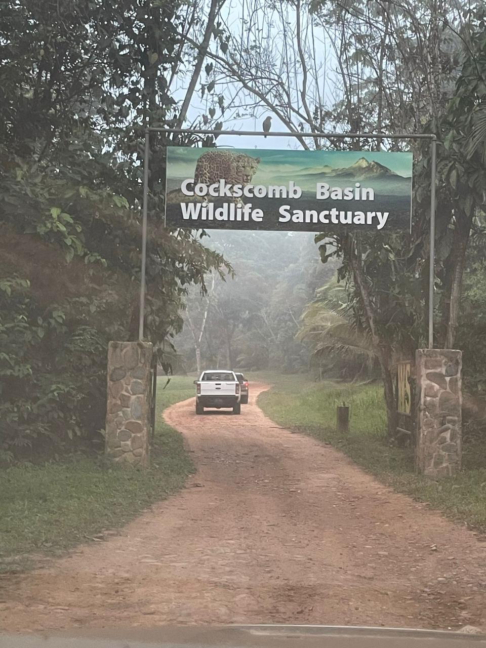 Cockscomb Basin Wildlife Sanctuary and Jaguar Preserve