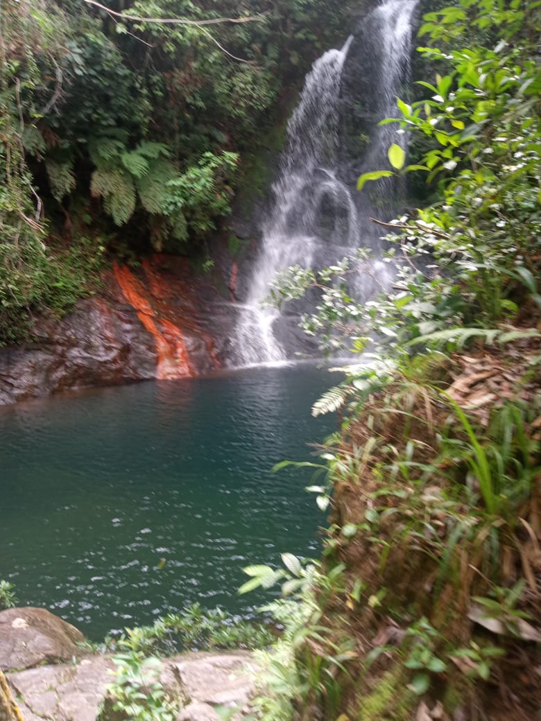 Cockscomb Basin Wildlife Sanctuary and Jaguar Preserve 3