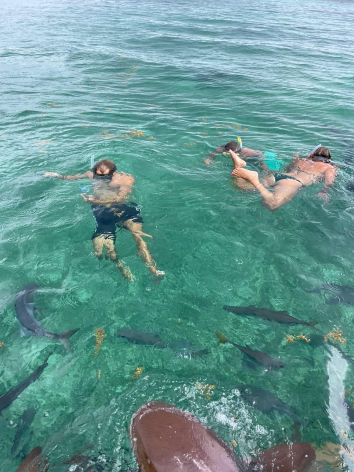 Hol Chan Marine Reserve and Shark Ray Alley 7