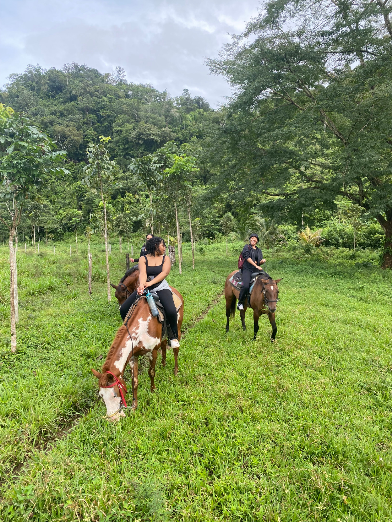 Belize Horseback Riding 2