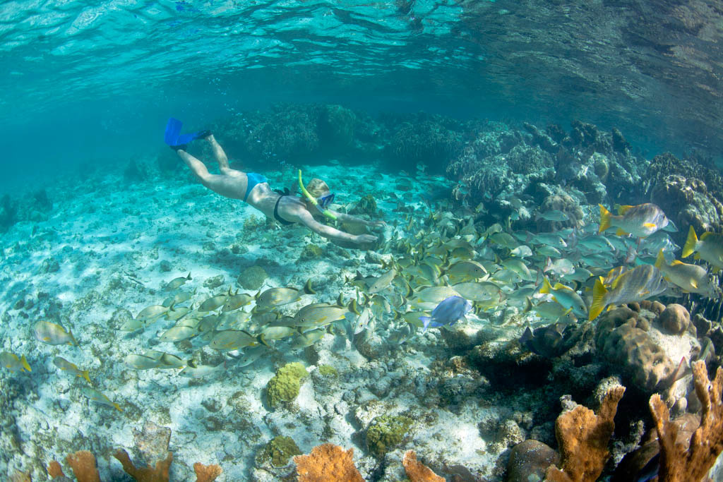 Mexico Rocks Snorkel Adventure