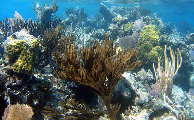 Mexico Rocks Snorkel Adventure 3