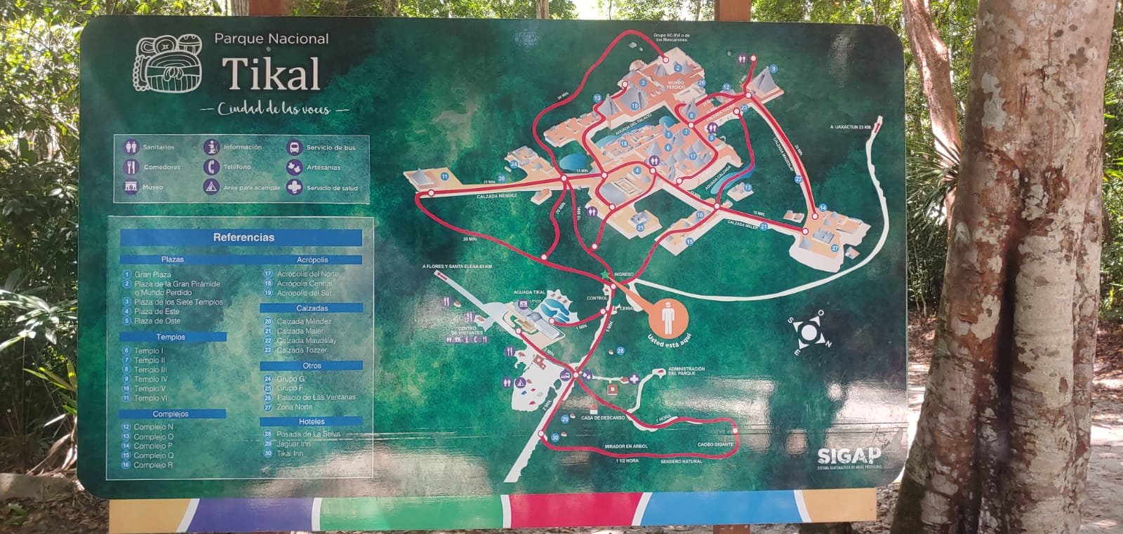 Tikal Tour from Belize City 3