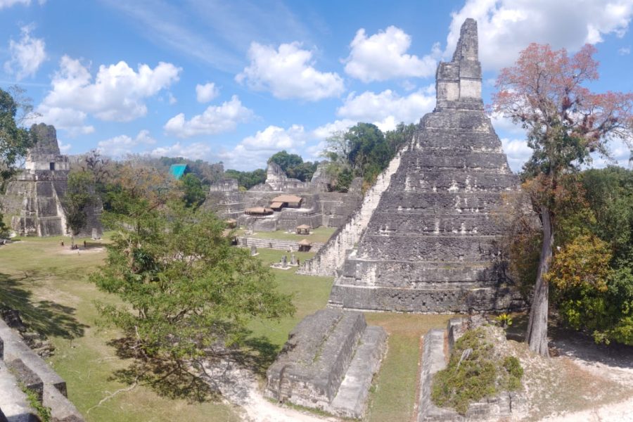 Tikal Tour from San Ignacio